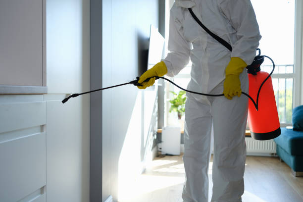 Best Certified Mold Removal  in Evendale, OH